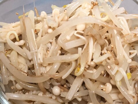 レンジで簡単作り置き♪えのきともやしのうま塩ナムル